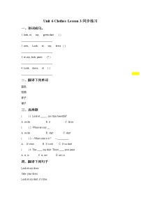 小学人教版 (新起点)Lesson 3课时作业