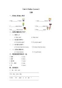 英语Lesson 2达标测试