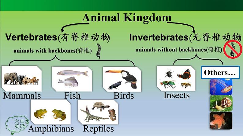 【人教新起点】六年级上册英语（精选）课件（内嵌素材）-Unit 3 Animal World第五课时  Lesson 305