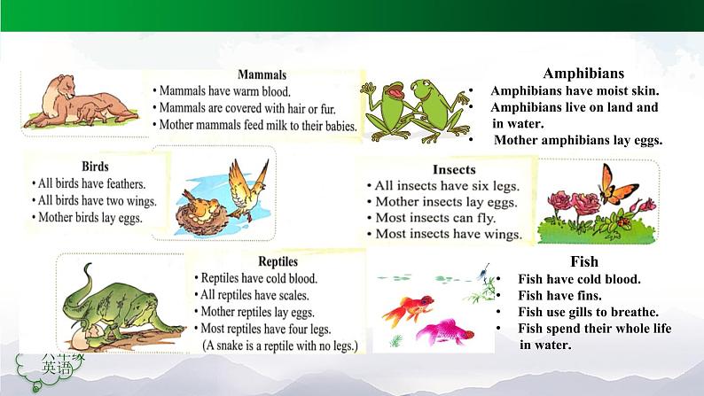 【人教新起点】六年级上册英语（精选）课件（内嵌素材）-Unit 3 Animal World第五课时  Lesson 308