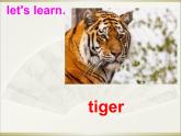 一年级上册英语Unit 3 Animals Lesson 2_课件-人教新起点版