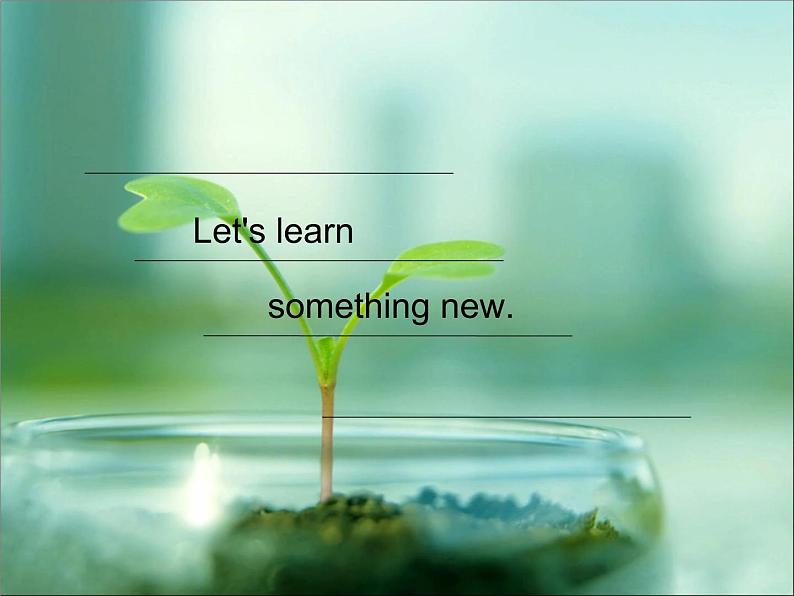 人教新起点四年级英语下册Unit 2 Lesson 3课件05