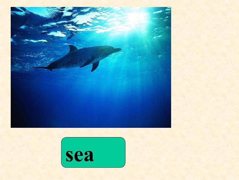 Unit 3 Travel Plans Lesson 1 课件 1第5页