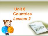 人教新起点四年级英语下册Unit 6 Lesson 2课件