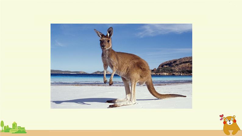 冀教英语五年级上册 Unit 2 Lesson 11 PPT课件+素材04