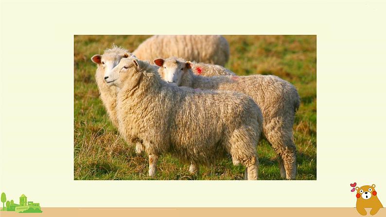 冀教英语五年级上册 Unit 2 Lesson 11 PPT课件+素材05