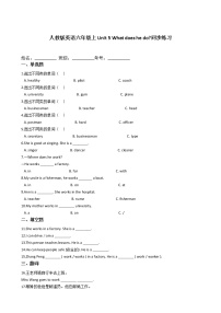 小学英语人教版 (PEP)六年级上册Unit 5 What does he do?综合与测试同步测试题