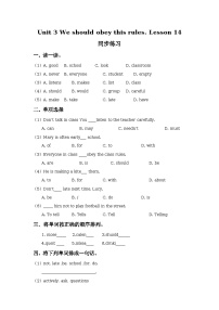 人教精通版五年级下册Lesson 14当堂达标检测题