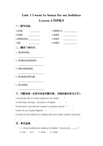 小学人教精通版Lesson 4课时训练