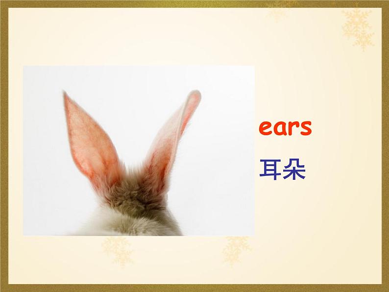 Unit 6 Happy Chinese New Year Lesson 21 课件+教案+练习（含答案）+素材35张06