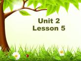 Unit 2 What do you do on Sunday Lesson 5 课件+教案+素材+练习    25张