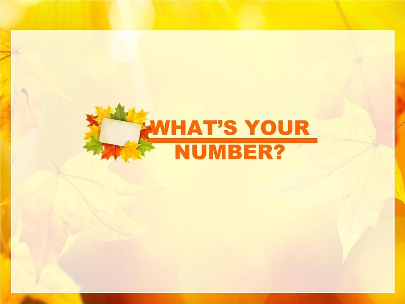 Unit 3 WHAT 'S YOUR NUMBER Lesson 9 课件第1页