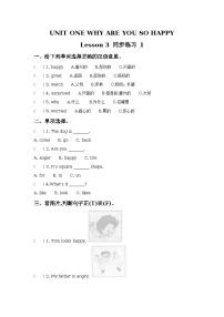 北京版Lesson 3综合训练题