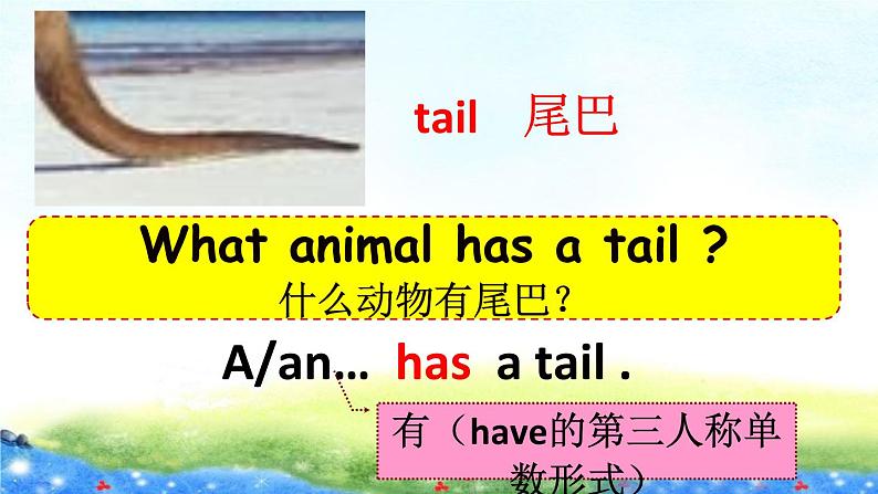 译林版五上英语U3 Our animal friends课件PPT06