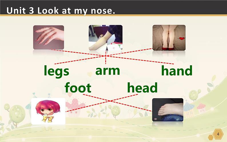 三年级上册英语课件-Unit3Lookatmynose.Lesson18人教精通版(共15张PPT)第4页