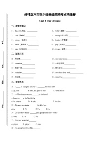 新版-牛津译林版六年级下册Unit 8 Our dreams同步测试题