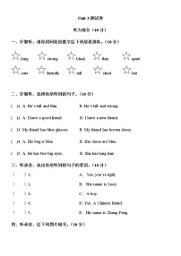 英语四年级上册Unit 3 My friends综合与测试精品练习