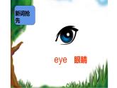 三年级上册英语课件-Unit3Lookatmynose.Lesson13noseandeye人教精通版(共20张PPT)