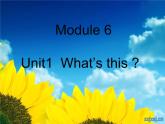 一年级上外研版（一起）一上Module 6《Unit 1 What’s this》ppt课件2