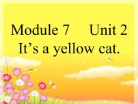 小学英语外研版 (一年级起点)一年级上册Module 7Unit 2 It's a yellow cat教案配套课件ppt