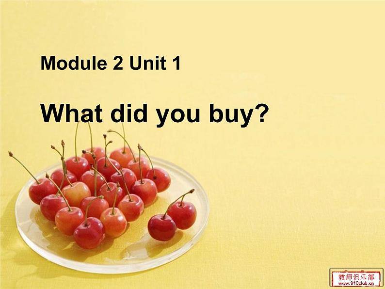 M2U1 What did you buy课件PPT01