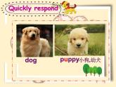 譯林版三年級英語上冊Project 2 A puppet show Part A， B， C & D（3）課件