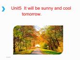 湘少版六年级英语上册-Unit 5 It will be sunny and cool tomorrow（18）课件
