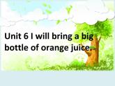 湘少版六年級英語上冊-Unit 6 I will bring a big battle of orange juice（3）課件