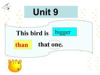 湘少版六年级上册Unit 9 This bird is bigger than fist one...课堂教学ppt课件