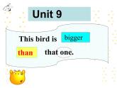 湘少版六年级英语上册-Unit 9 This bird is bigger than that one（10）课件