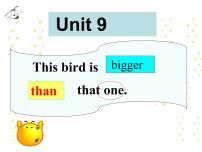 湘少版六年级上册Unit 9 This bird is bigger than fist one...教课课件ppt