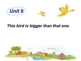 湘少版六年级英语上册-Unit 9 This bird is bigger than that one（13）课件
