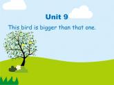 湘少版六年级英语上册-Unit 9 This bird is bigger than that one（12）课件