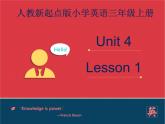 人教版（新起点）英语三年级上册Unit+4 lesson 1《pets》课件（21张PPT）