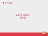 人教版（新起点）英语三年级上册Unit+4 lesson 1《pets》课件（21张PPT）