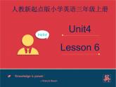 人教版（新起点）英语三年级上册Unit+4 lesson6《pets》课件（16张PPT）