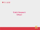 人教版（新起点）英语三年级上册Unit+4 lesson6《pets》课件（16张PPT）