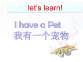 人教版（新起點）英語三年級上冊Unit 4 Pets Lesson 1 課件 （15張PPT）