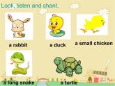 人教版（新起點(diǎn)）英語三年級上冊Unit4 Pets Lesson1 課件（11張PPT）