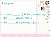 人教版（新起點(diǎn)）英語三年級上冊Unit4 Pets Lesson1 課件（11張PPT）