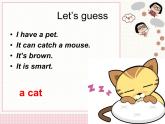 人教版（新起點(diǎn)）英語三年級上冊Unit4 Pets Lesson1 課件（11張PPT）