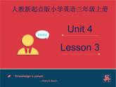 人教版（新起点）英语三年级上册Unit+4 lesson 3《pets》课件