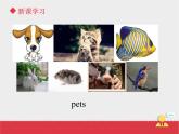 人教版（新起点）英语三年级上册Unit+4 lesson 3《pets》课件