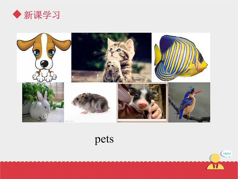 人教版（新起点）英语三年级上册Unit+4 lesson 3《pets》课件04