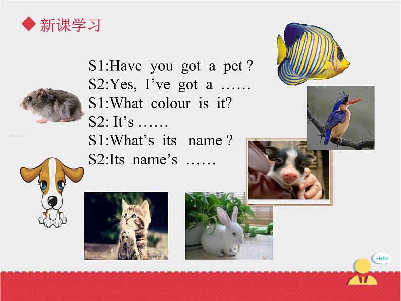 人教版（新起点）英语三年级上册Unit+4 lesson 3《pets》课件08