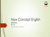 新概念-Lesson005-006 Nice to meet you.课件PPT