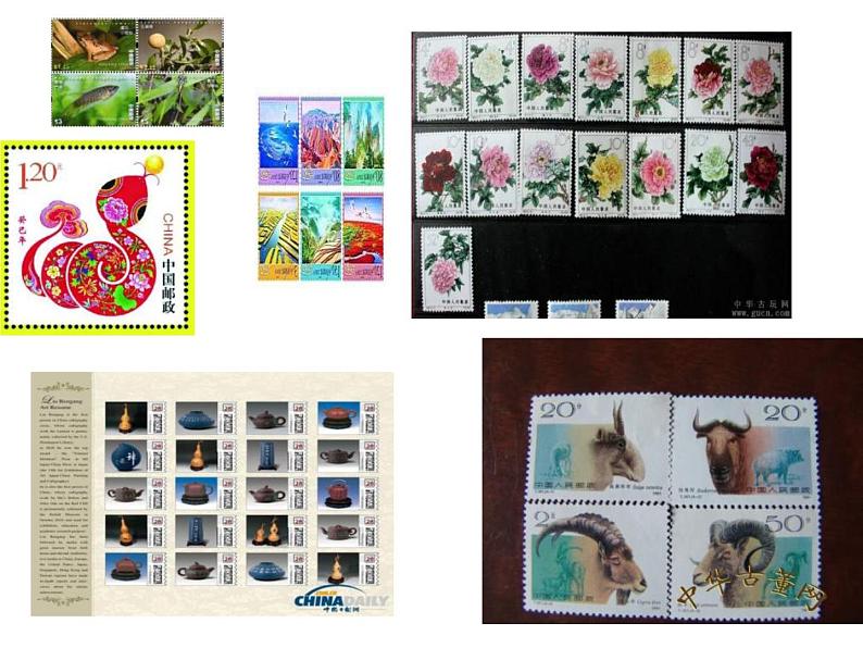 外研版（一起）六上Module 3《Unit 2 Collecting stamps is my hobby》ppt课件505