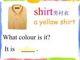 四年级上册英语课件－ Unit 9《Look at this T-shirt》｜教科版（广州）  (共19张PPT)