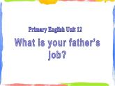 四年级上册英语课件－Unit 12《What’s your father’s job》｜教科版（广州）  (共28张PPT)