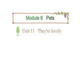 三年级下册英语课件-Module 6 Pets Unit 11  They're lovely Period 2-教科版(共16张PPT)